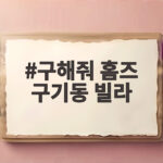 구해줘 홈즈 구기동 빌라 서울 주택 시장의 새로운 선택지를 만나다 구해줘 홈즈 구기동 빌라