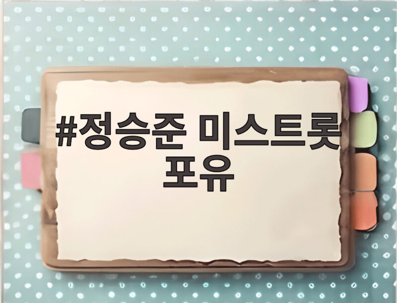 정승준 미스트롯 포유