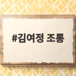 김여정 조롱