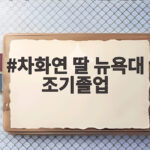 차화연 딸 뉴욕대 조기졸업