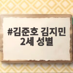 김준호 김지민 2세 성별 공개, 아들이라니 꿈만 같고 시험관 성공까지 김준호 김지민 2세 성별