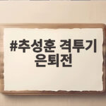 추성훈 격투기 은퇴전
