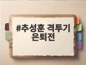 추성훈 격투기 은퇴전