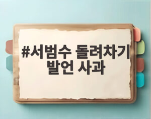 서범수 돌려차기 발언 사과