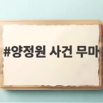 양정원 사건 무마