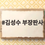 김성수 부장판사