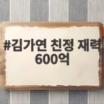 김가연 친정 재력 600억