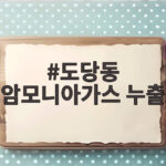 도당동 암모니아가스 누출 사고 대처방법 정리 도당동 암모니아가스 누출