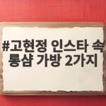고현정 인스타 속 롱샴 가방 2가지 고현정 인스타 속 롱샴 가방 2가지