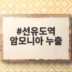 선유도역 암모니아 누출 사고, 우리는 어떻게 대처해야 할까 선유도역 암모니아 누출