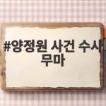 양정원 사건 수사 무마