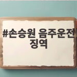 손승원 음주운전 징역