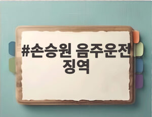 손승원 음주운전 징역