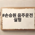 손승원 음주운전 실형