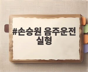 손승원 음주운전 실형