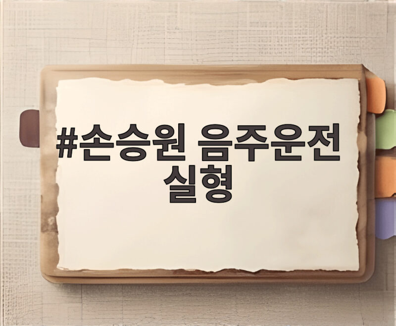 손승원 음주운전 실형 확정, 다섯 번째 범죄의 대가는 1 손승원 음주운전 실형