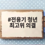 전용기 청년 최고위 의결 민주당 내부 반발 속 통과된 배경과 향후 과제 전용기 청년 최고위 의결