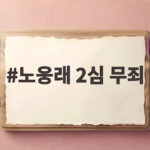 노웅래 2심 무죄, 불법 정치자금 혐의 뒤집힌 이유와 한동훈 책임론 노웅래 2심 무죄