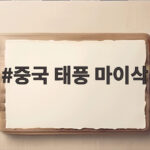 중국 태풍 마이삭 사망 159명 실종 10명 확인된 피해 상황 중국 태풍 마이삭
