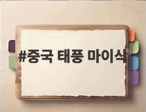 중국 태풍 마이삭