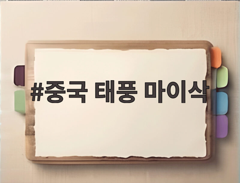 중국 태풍 마이삭