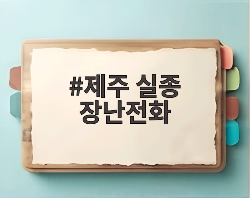 제주 실종 장난전화 가족을 더 슬프게 하는 2차 가해 경찰의 엄정 대응 1 제주 실종 장난전화