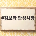 김보라 안성시장이 이끄는 안성 대전환, 3선 연임의 비결과 핵심 전략 김보라 안성시장