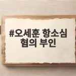 오세훈 항소심 혐의 부인, 1심 판결 흔들 수 있을까 선고는 10월에 오세훈 항소심 혐의 부인