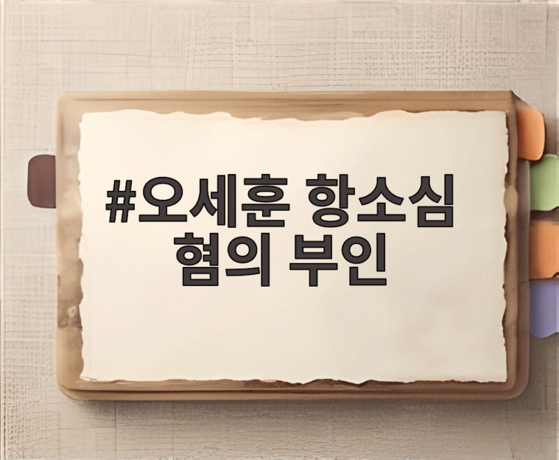 오세훈 항소심 혐의 부인, 1심 판결 흔들 수 있을까 선고는 10월에 1 오세훈 항소심 혐의 부인