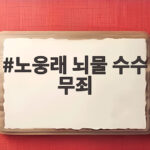 노웅래 뇌물 수수 무죄 2심 선고와 검찰의 위법 압수수색 논란 노웅래 뇌물 수수 무죄