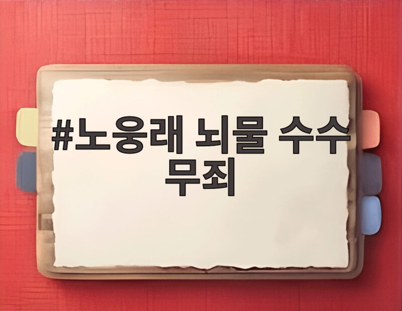 노웅래 뇌물 수수 무죄 2심 선고와 검찰의 위법 압수수색 논란 1 노웅래 뇌물 수수 무죄