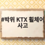 박위 KTX 휠체어 사고, 충격적 영상과 안전 개선 필요성 박위 KTX 휠체어 사고