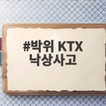 박위 KTX 낙상사고, 공익근무요원 발에 걸려 넘어졌다더니 논란 박위 KTX 낙상사고