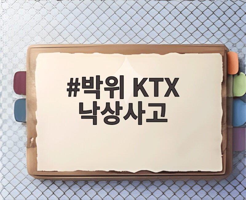 박위 KTX 낙상사고, 공익근무요원 발에 걸려 넘어졌다더니 논란 1 박위 KTX 낙상사고