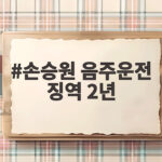 손승원 음주운전 징역 2년 확정 다섯 번째 적발에 증거 인멸까지 손승원 음주운전 징역 2년