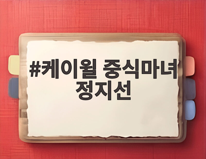 케이윌 중식마녀 정지선 생일상을 유튜브에서 감탄한 이야기 1 케이윌 중식마녀 정지선