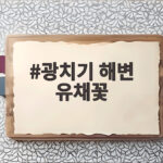 광치기 해변 유채꽃
