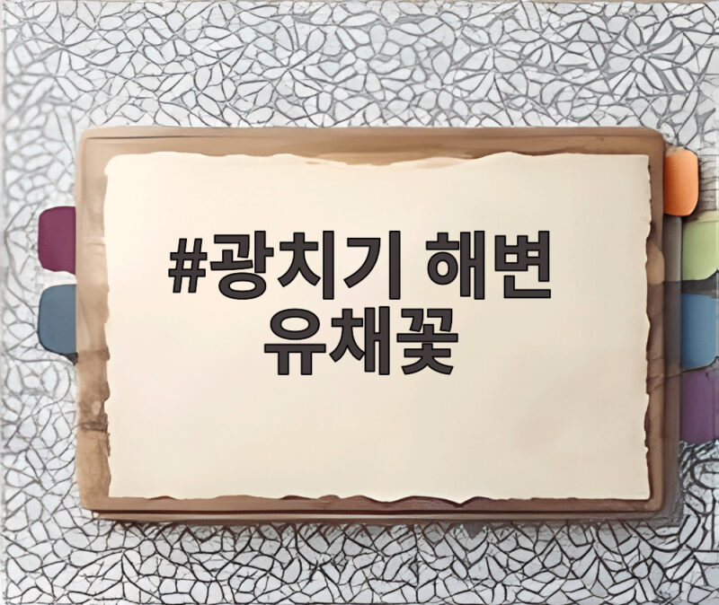광치기 해변 유채꽃, 겨울에도 만나는 황금빛 물결의 비밀 1 광치기 해변 유채꽃