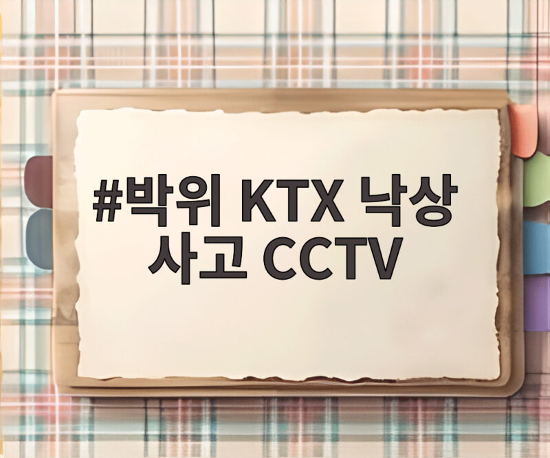 박위 KTX 낙상 사고 CCTV 공개로 논란 사과까지 1 박위 KTX 낙상 사고 CCTV