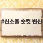 신소율 숏컷 변신 파격 스타일링에 소속사 대표가 돌았냐고 한 이유 신소율 숏컷 변신