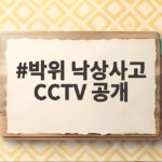 박위 낙상사고 CCTV 공개에 얽힌 논란 그리고 사과하기 박위 낙상사고 CCTV 공개