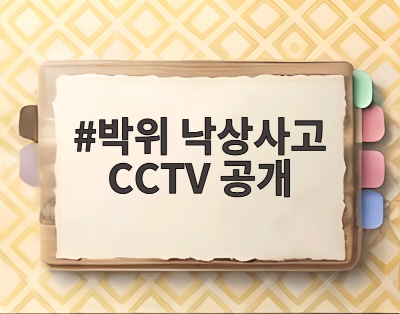 박위 낙상사고 CCTV 공개에 얽힌 논란 그리고 사과하기 1 박위 낙상사고 CCTV 공개