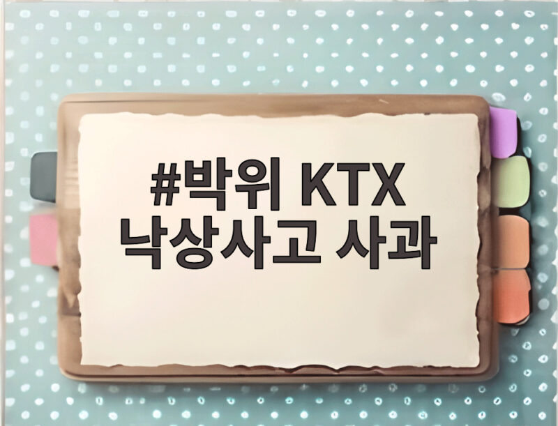 박위 KTX 낙상사고 사과 논란 CCTV 공개 후 입장 번복 1 박위 KTX 낙상사고 사과