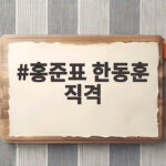 홍준표 한동훈 직격