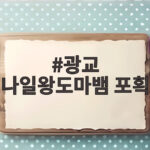 광교 나일왕도마뱀 포획
