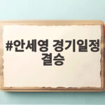 안세영 경기일정 결승 세계선수권 우승 도전의 마지막 관문 안세영 경기일정 결승