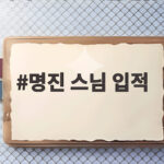 명진 스님 입적 소식 프리다이빙 사고로 세수 76세 삶과 갈등 조명 명진 스님 입적
