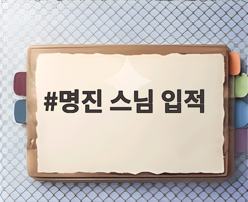 명진 스님 입적 소식 프리다이빙 사고로 세수 76세 삶과 갈등 조명 1 명진 스님 입적