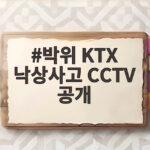 박위 KTX 낙상사고 CCTV 공개 논란과 사과 장애인 안전에 남긴 것 박위 KTX 낙상사고 CCTV 공개