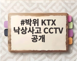 박위 KTX 낙상사고 CCTV 공개